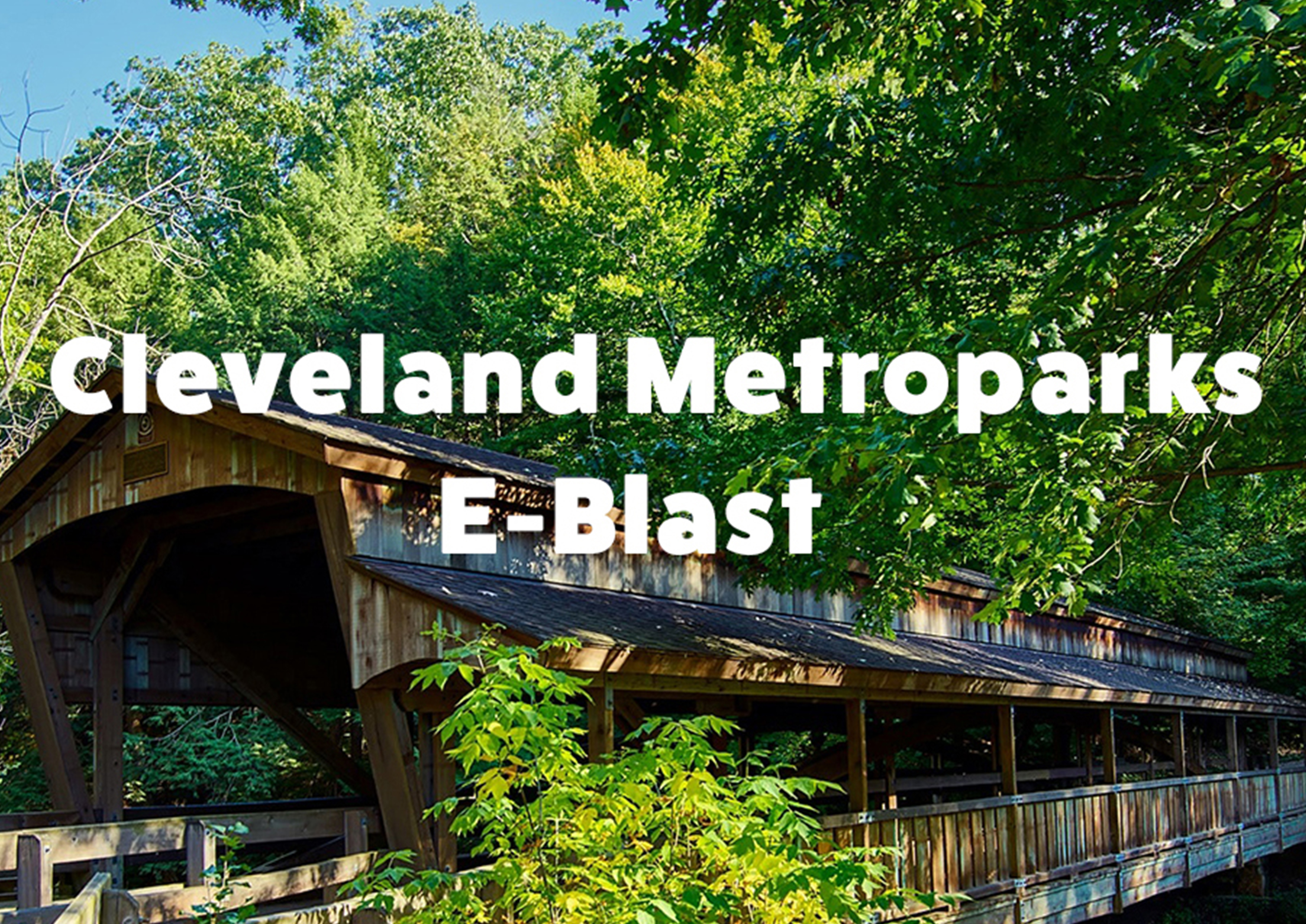 E-blast Logo for card use