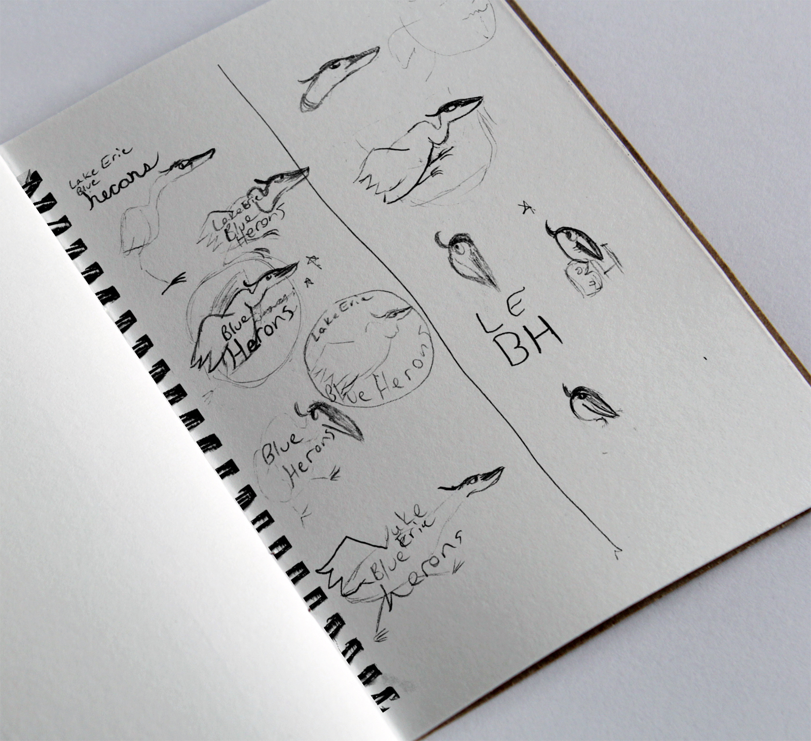 Lake Erie Blue Herons Sketches in a note book