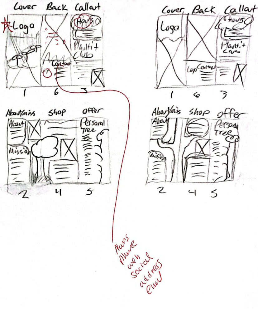 Brochure Concepts and Sketches