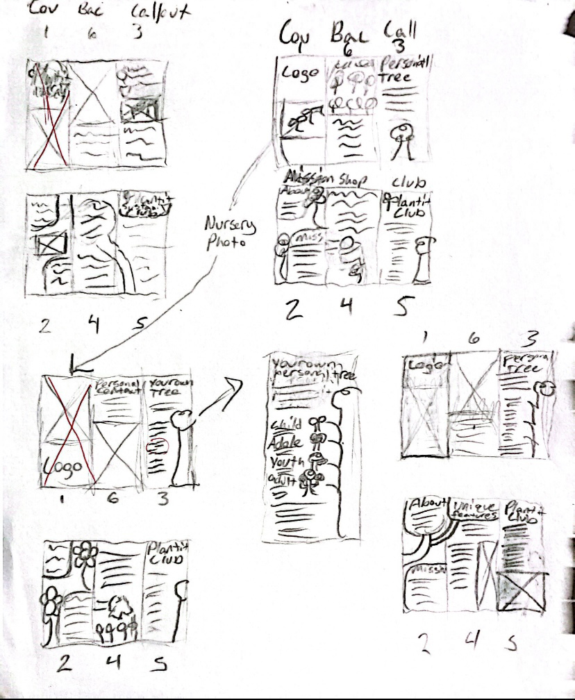 More Brochure Concepts and Sketches