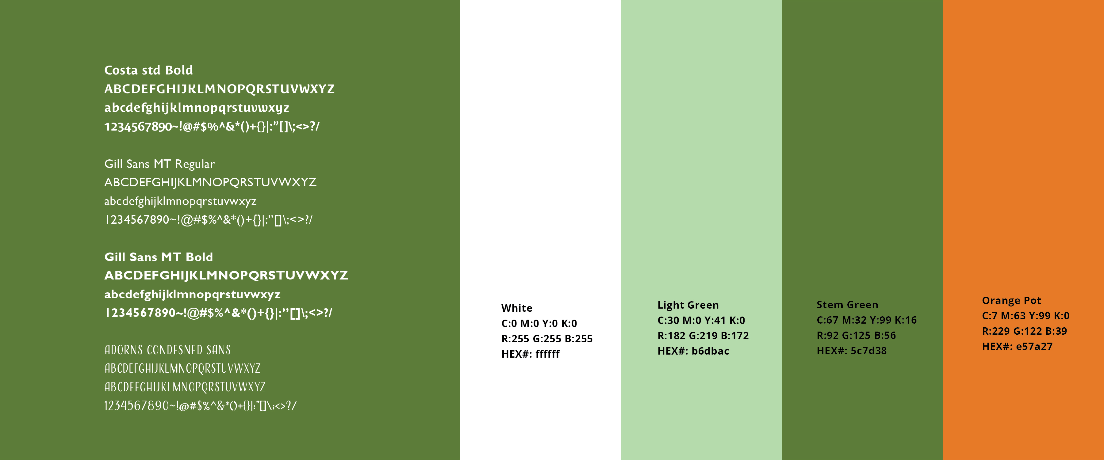 color and type study for Plant-it