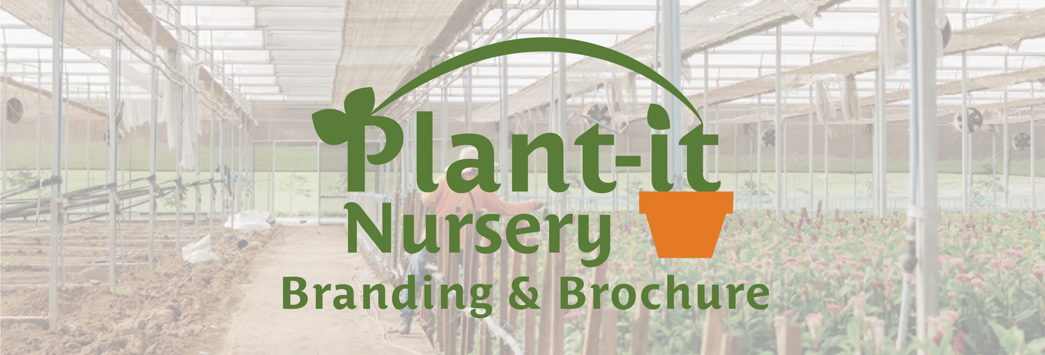 portfolio hero image