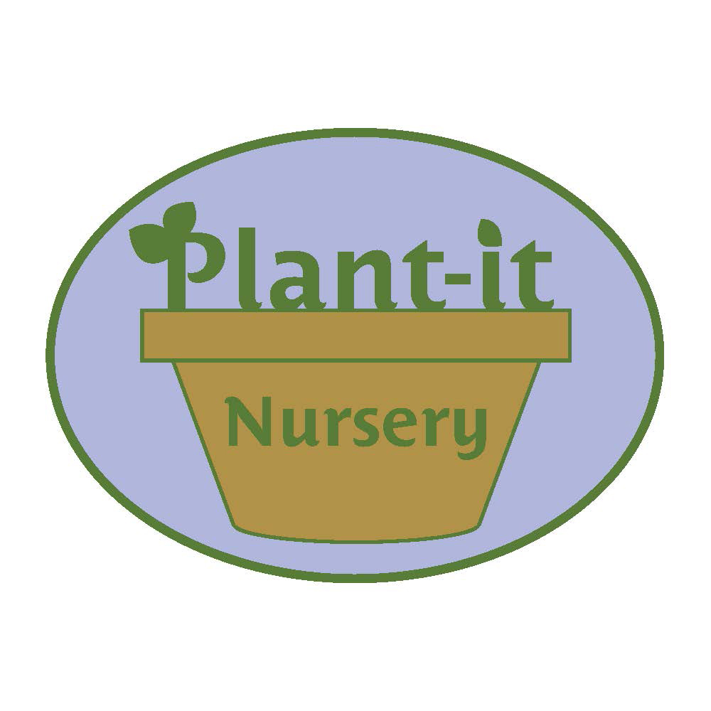 Primary Colored logo version 2