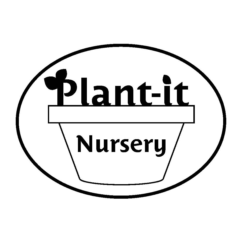 Secondary Colored logo version 2