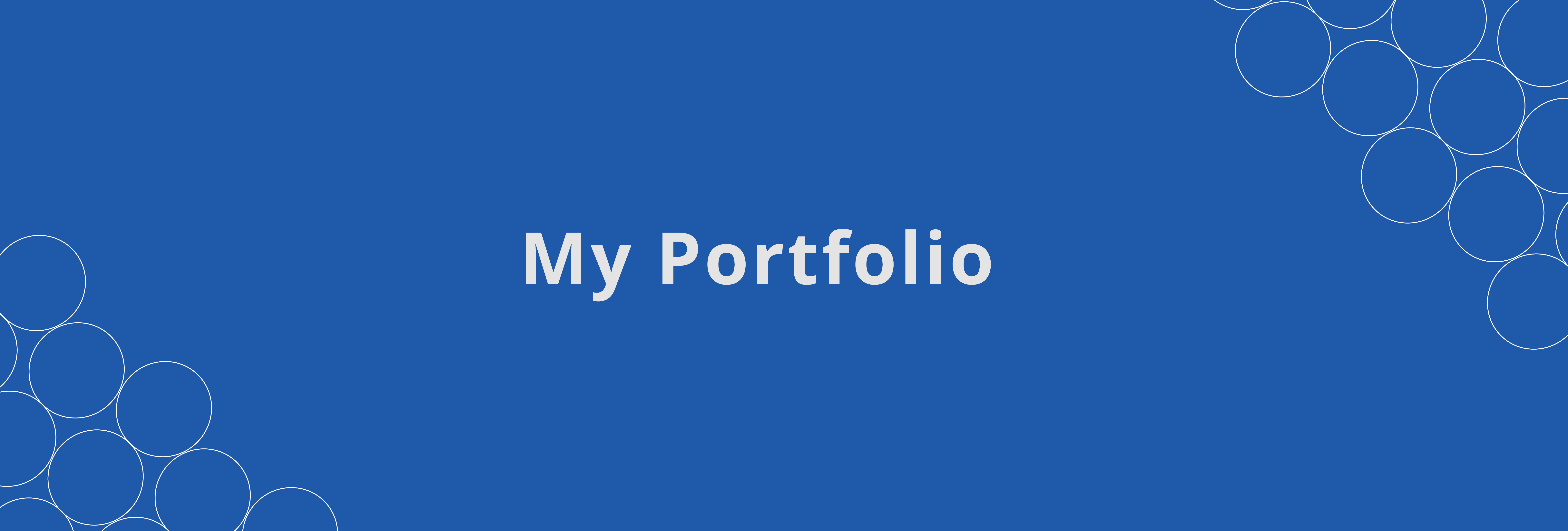 portfolio hero image