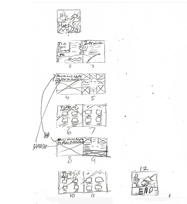 thumbs for brochure structure